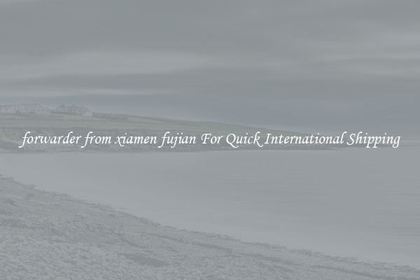 forwarder from xiamen fujian For Quick International Shipping