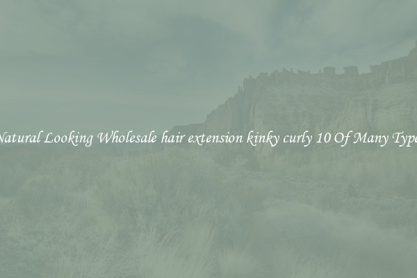 Natural Looking Wholesale hair extension kinky curly 10 Of Many Types