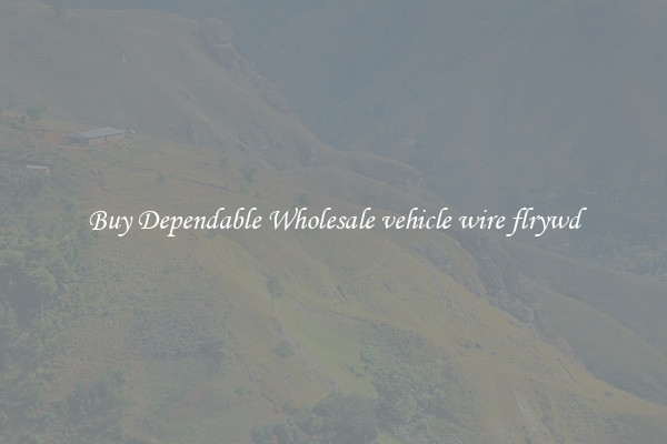 Buy Dependable Wholesale vehicle wire flrywd