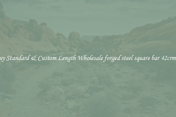 Buy Standard & Custom Length Wholesale forged steel square bar 42crmo4