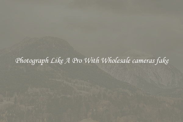 Photograph Like A Pro With Wholesale cameras fake