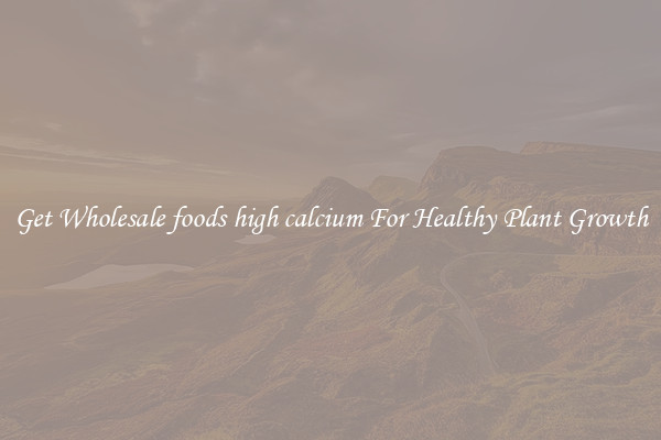 Get Wholesale foods high calcium For Healthy Plant Growth