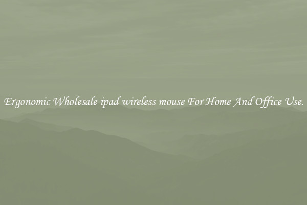 Ergonomic Wholesale ipad wireless mouse For Home And Office Use.