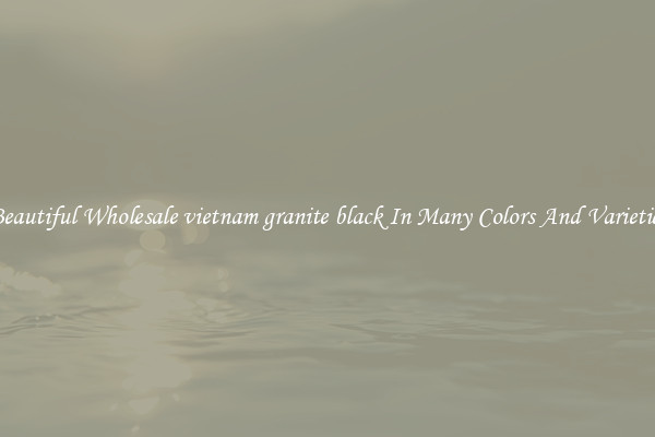 Beautiful Wholesale vietnam granite black In Many Colors And Varieties