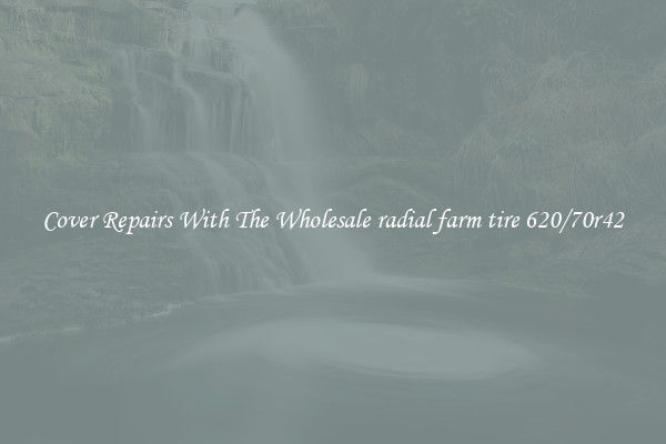  Cover Repairs With The Wholesale radial farm tire 620/70r42 