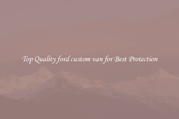 Top Quality ford custom van for Best Protection
