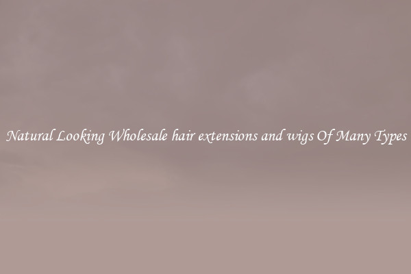 Natural Looking Wholesale hair extensions and wigs Of Many Types