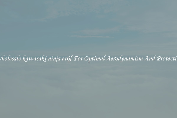 Wholesale kawasaki ninja er6f For Optimal Aerodynamism And Protection