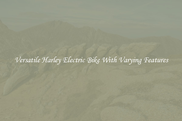 Versatile Harley Electric Bike With Varying Features