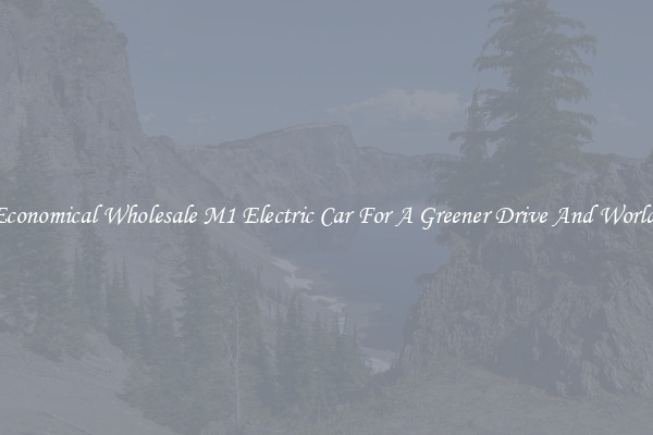 Economical Wholesale M1 Electric Car For A Greener Drive And World!