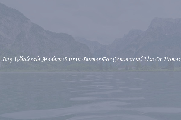 Buy Wholesale Modern Bairan Burner For Commercial Use Or Homes
