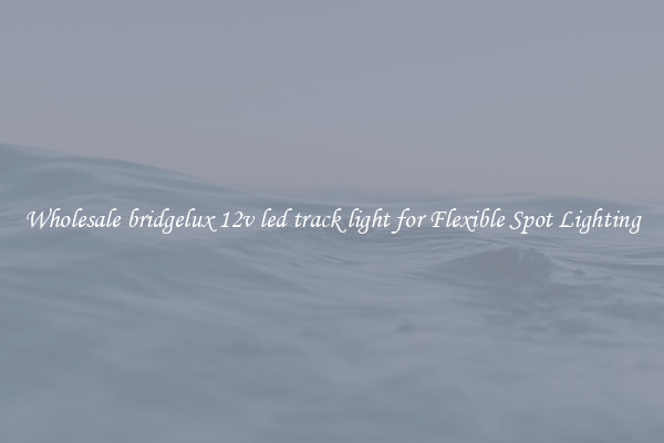 Wholesale bridgelux 12v led track light for Flexible Spot Lighting