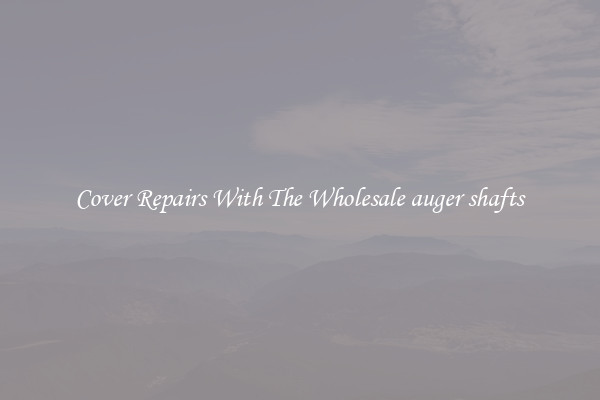 Cover Repairs With The Wholesale auger shafts 