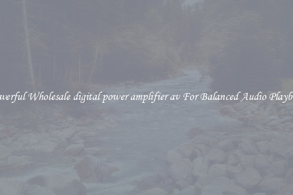 Powerful Wholesale digital power amplifier av For Balanced Audio Playback