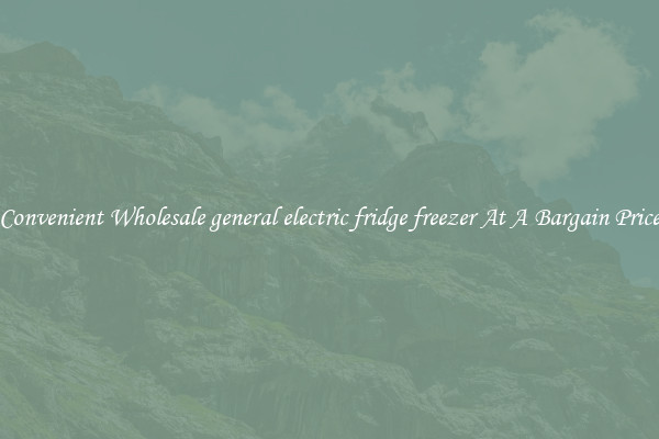 Convenient Wholesale general electric fridge freezer At A Bargain Price
