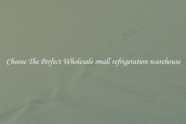 Choose The Perfect Wholesale small refrigeration warehouse